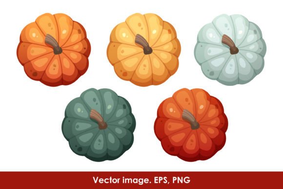 Download Colourful Pumpkins Top View - Colourful Collection