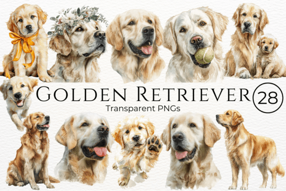 Download Golden Retriever Dog Watercolor Clipart - Gold Collection